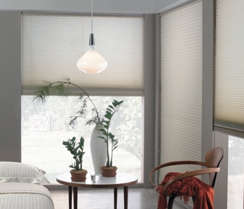 cellular shades in Clearwater house